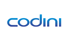 Codini